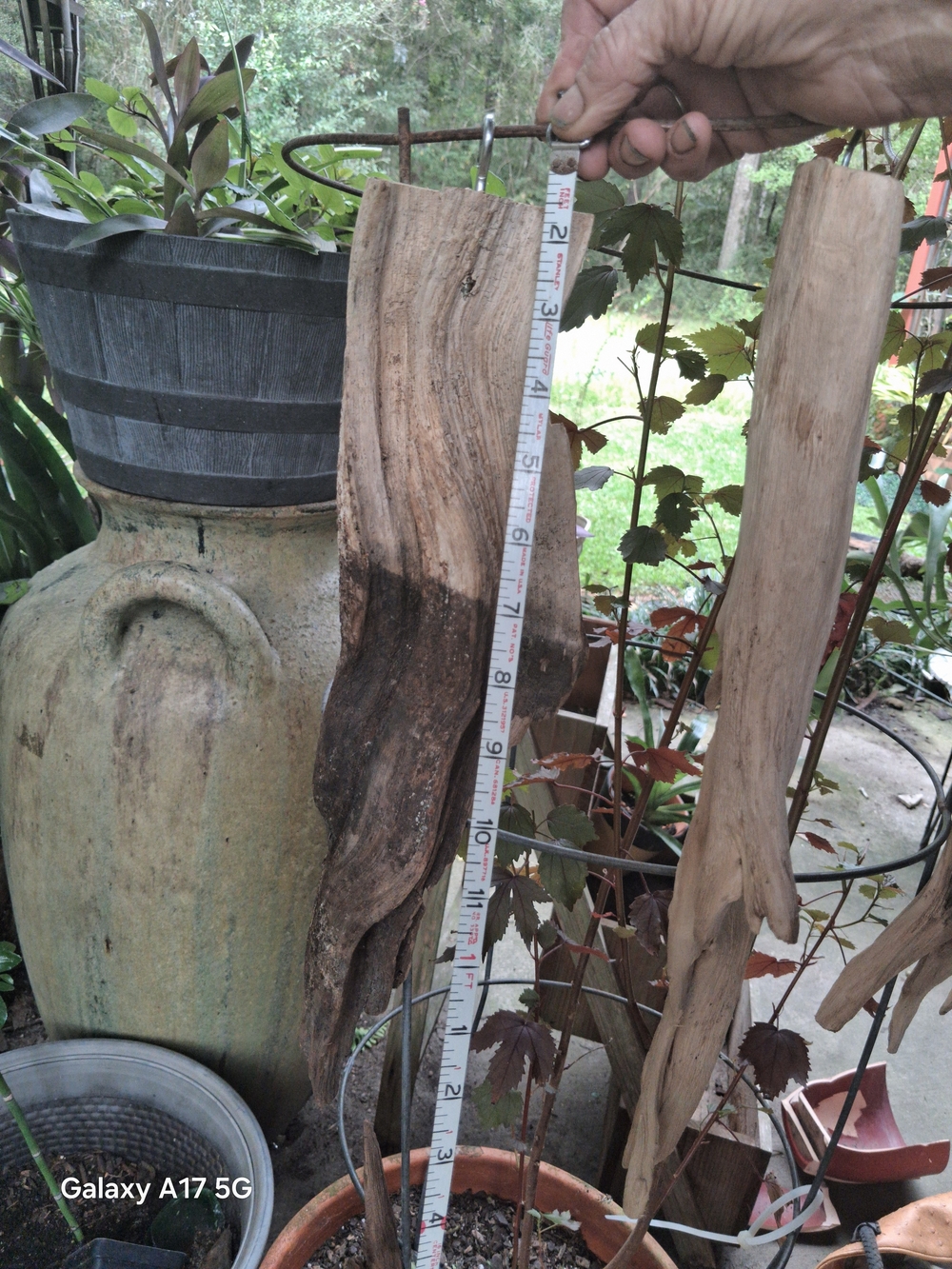 2/pc Natural Driftwood Hanging Stalactitea - Rustic Brown.